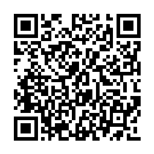 等你们说完了之后还请告诉凌某一声你们的决定二维码生成