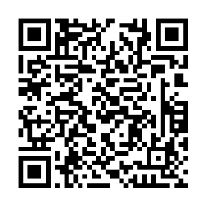 等你出师了去亚洲希望联盟总部找应该就可以找到二维码生成