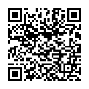 等你有时间了我们就带着你一起回到华夏去玩好不好二维码生成