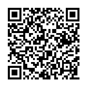 等候在外边的两个婆子才牵着孔雀小心翼翼进来二维码生成