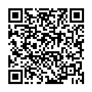 等候在船舱外的一群小子之间的气氛却是更加的紧张起来二维码生成