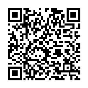 等其他的冒险者和北方的三人组带着零零散散的走不快二维码生成