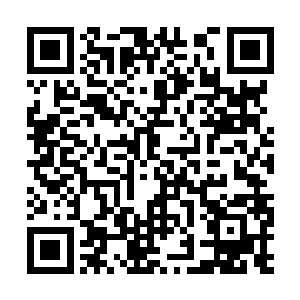 等冷布吃完了药又把了把脉问问这一天有什么异样二维码生成