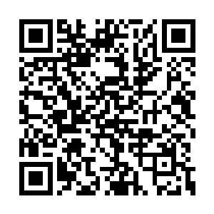 等到下礼拜的大局子开了自己再好好的赢它一场二维码生成