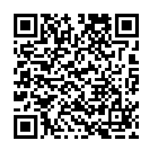 等到两个人都出师后两个从小一起长大的弟子就要互相残杀二维码生成