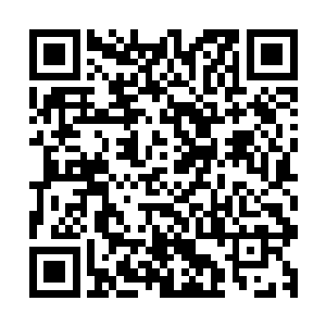 等到他们的军事素质完全达到华夏革命军主力旅的水平的时候二维码生成