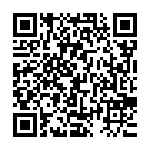 等到你真元再浑厚一些就可以一鼓作气的把一部分经脉冲开了二维码生成