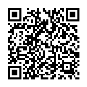 等到卢卡斯和他现在的经纪人拉玛利亚解约之后二维码生成