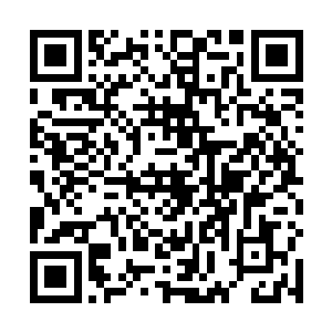 等到发现母亲无能为力之后就开始撒泼吵闹甚至是绝食二维码生成