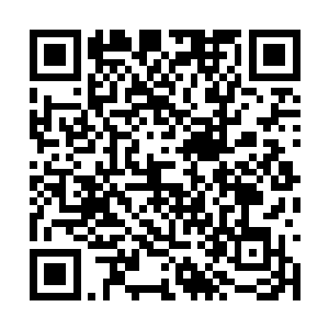 等到后面将死伤的宫女太监尸体一具一具的抬上来二维码生成