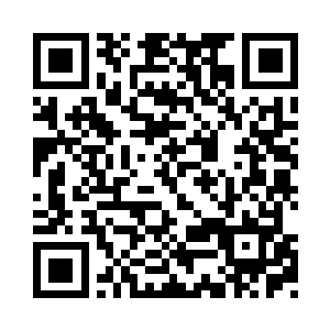 等到堆场按照船舶动态统一安排集港就可以了二维码生成