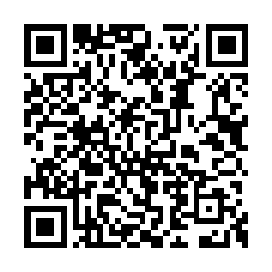 等到大家已经开始适应新班子的格局和运行模式二维码生成