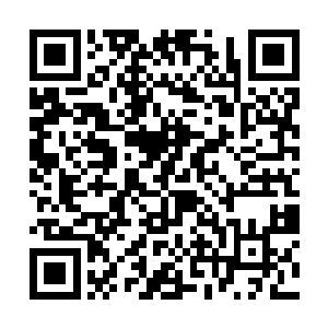 等到她临盆之际……到时候会在京城造成怎样的危机二维码生成