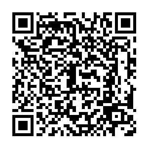 等到她晚一步出门的时候竟然整个黎王府的随从都已经跟着离开了二维码生成