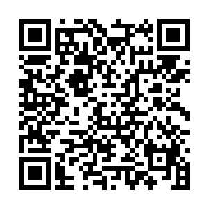 等到我们完全掌握了核污染清除技术之后再做打算二维码生成