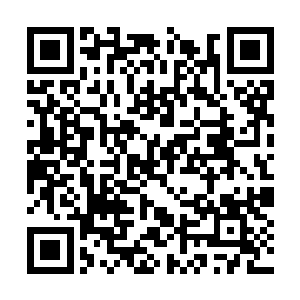 等到所有的人都走光了才发现南侯只是在出神而已二维码生成