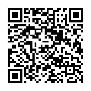 等到托比和李奥的一些单人对话场景全部拍摄完毕以后二维码生成