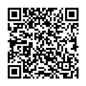 等到曹珊珊把霞帔提起到雪白纤细的柳腰以上的时候二维码生成