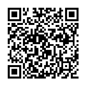 等到有了次子之后就可以让对方再继承这个爵位二维码生成