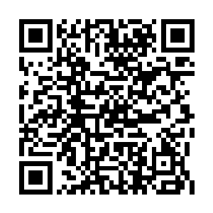 等到林封谨他们从极北之地返回以后再一起返航二维码生成