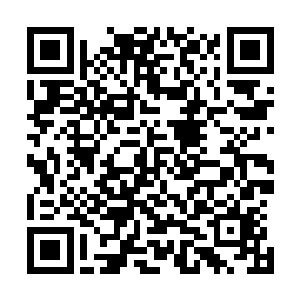 等到游木他们第二天早上起来看到屋子里那堆食物都沉默了二维码生成