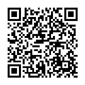 等到看到许紫烟又开始一株一株草药放到鼻子底下去嗅二维码生成