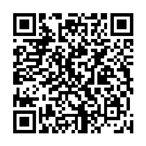 等到这张诡异面孔将最后一具尸体心满意足的吞下了之后二维码生成