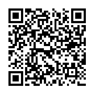 等到那一天到来了即便你们不请我们也会自己来的二维码生成