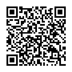 等到那位北公爵赶到之后恐怕只能见到一个空空如也的巢穴二维码生成
