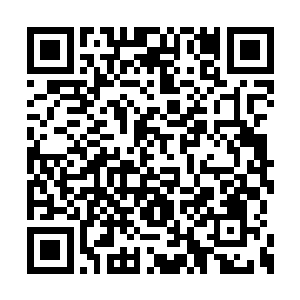 等到那支小队团灭了再去独自一人对抗最终鬼母二维码生成