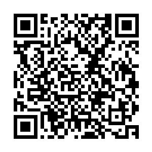 等到闻人照胸口那个突然间长出来的浓疱里面的毒液给放完后二维码生成
