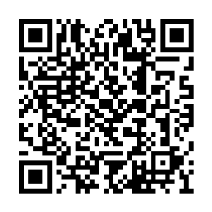 等在外面的寇文蓝和大掌柜沈丁臣立马迎了过来二维码生成