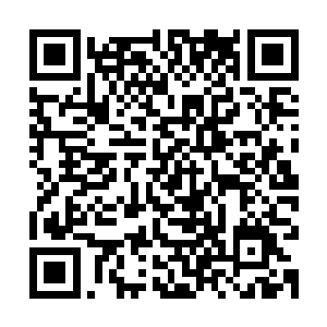 等外面靠近的人查看了一番离去后再带着萧黎从藏身的地方出来二维码生成