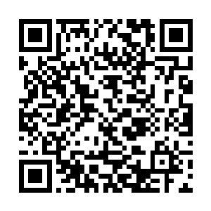 等她看清了薄薄雨雾中潇洒站立的那个大男孩的模样二维码生成