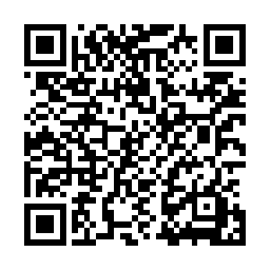 等小姑娘在外面受了苦遭了罪知道金窝银窝不如自己的狗窝二维码生成