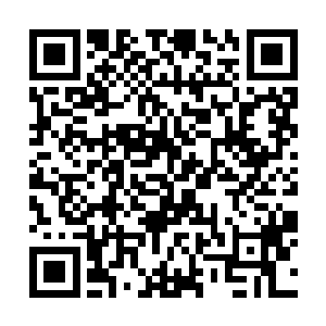 等巴克和鬣狗辗转抵达黛茜提到自己过境的那个城镇二维码生成