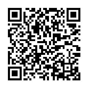 等巴克把车滑出去一段就忍不住哈哈哈的在副驾驶仰头大笑二维码生成
