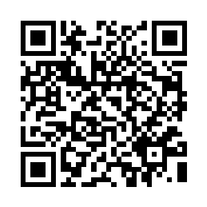 等开发浦东经济区的官方政策一出来二维码生成