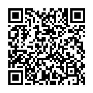 等张璐涵回到座位上的时候第二节课的上课铃立刻就响了起来二维码生成