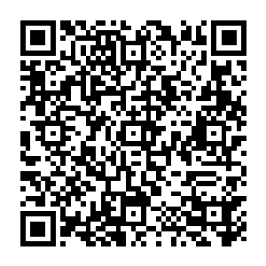 等待他们的将是――没有名车豪宅没有前呼后拥没有小明星们的吹捧追逐小心翼翼二维码生成