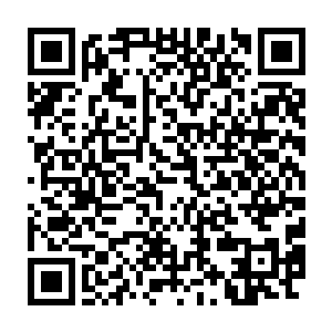 等待别的运输舰装满了最粗粝的合成食物以及净水系统的替换构件二维码生成