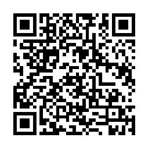 等待来日身怀鬼脉的古杨家后裔重新聚齐九葬天棺二维码生成