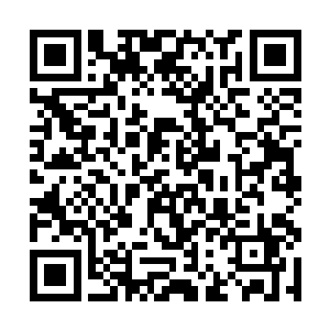 等待燎原舰队的出现――燎原舰队第一波次攻击集群二维码生成