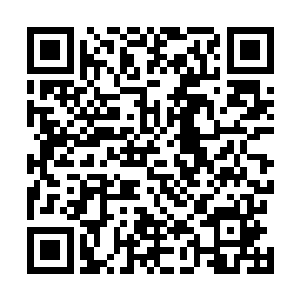 等待着百里路的身体撞在石壁上之后再重新坠落在地面上二维码生成