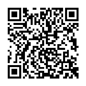 等待着这位世界上最为惊人的超级大导演的到来二维码生成