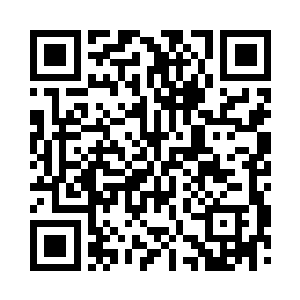 等待退化影响到种族智商能解决掉的滩精鸟群二维码生成