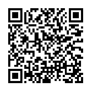 等待513的效果渐渐凸显出来……然后你再去收集二维码生成