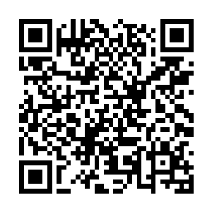 等我以后实力高了我也会杀海兽到时候为父母报仇二维码生成