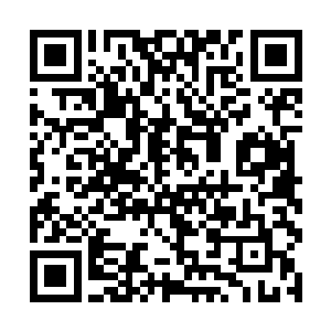 等我出去之后第一个人找的就是他我一定会斩草除根二维码生成