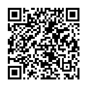 等我到了屋里没人看见的时候你再去带叶莲娜他们过来二维码生成